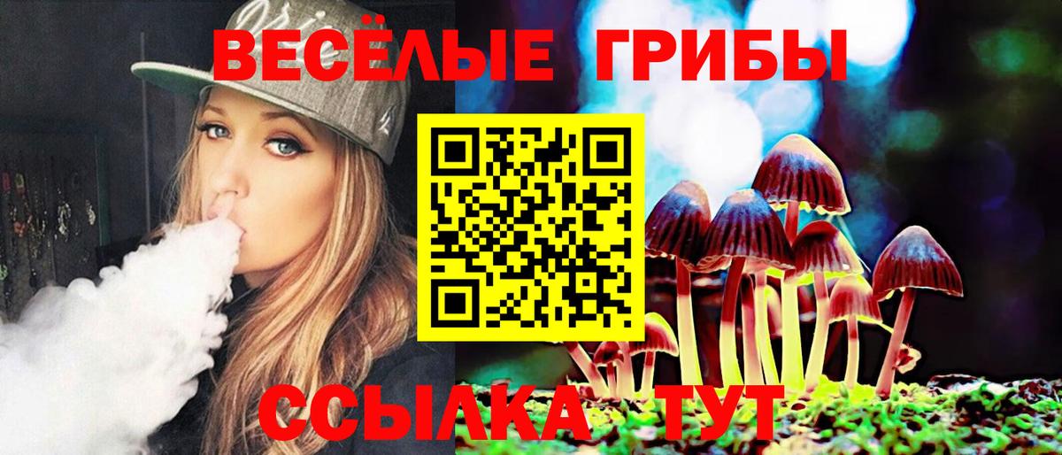 Галлюциногенные грибы ЛСД  Псилоцибиновые грибы Cubensis  Вход с VPN  Северобайкальск 